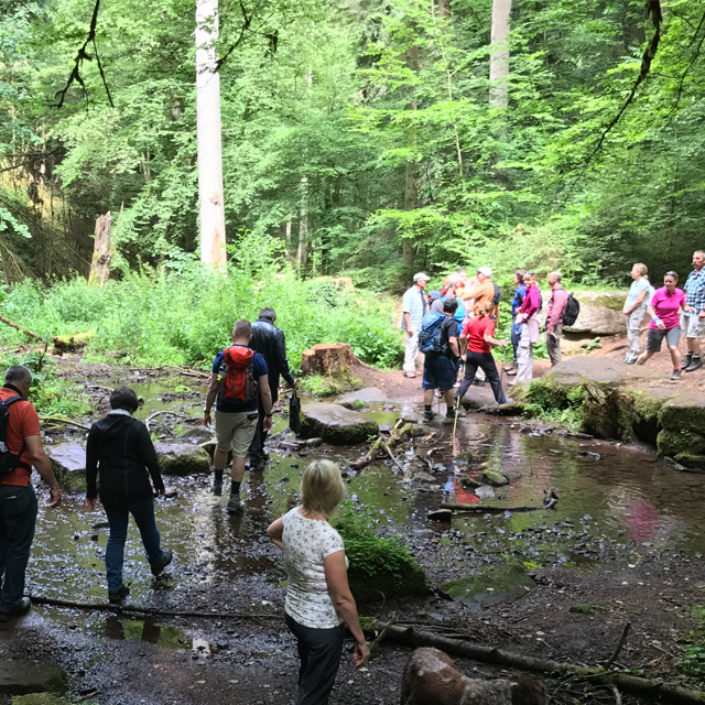 Escursione di piacere Stowa4.jpg