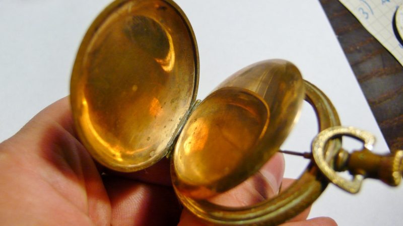 P1010577 (800x449).jpg