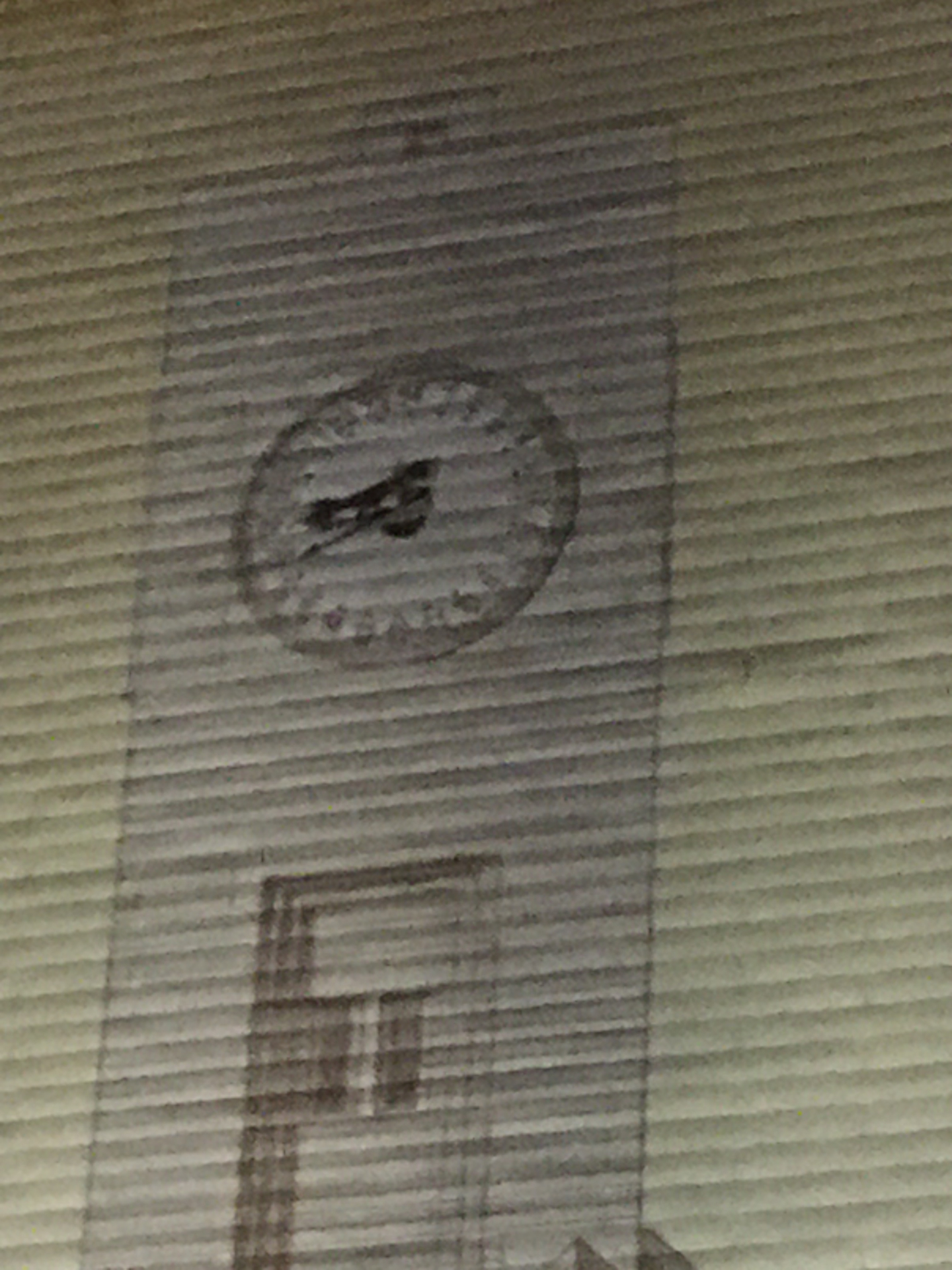 Tony Garnier Etats Unis (03).JPG