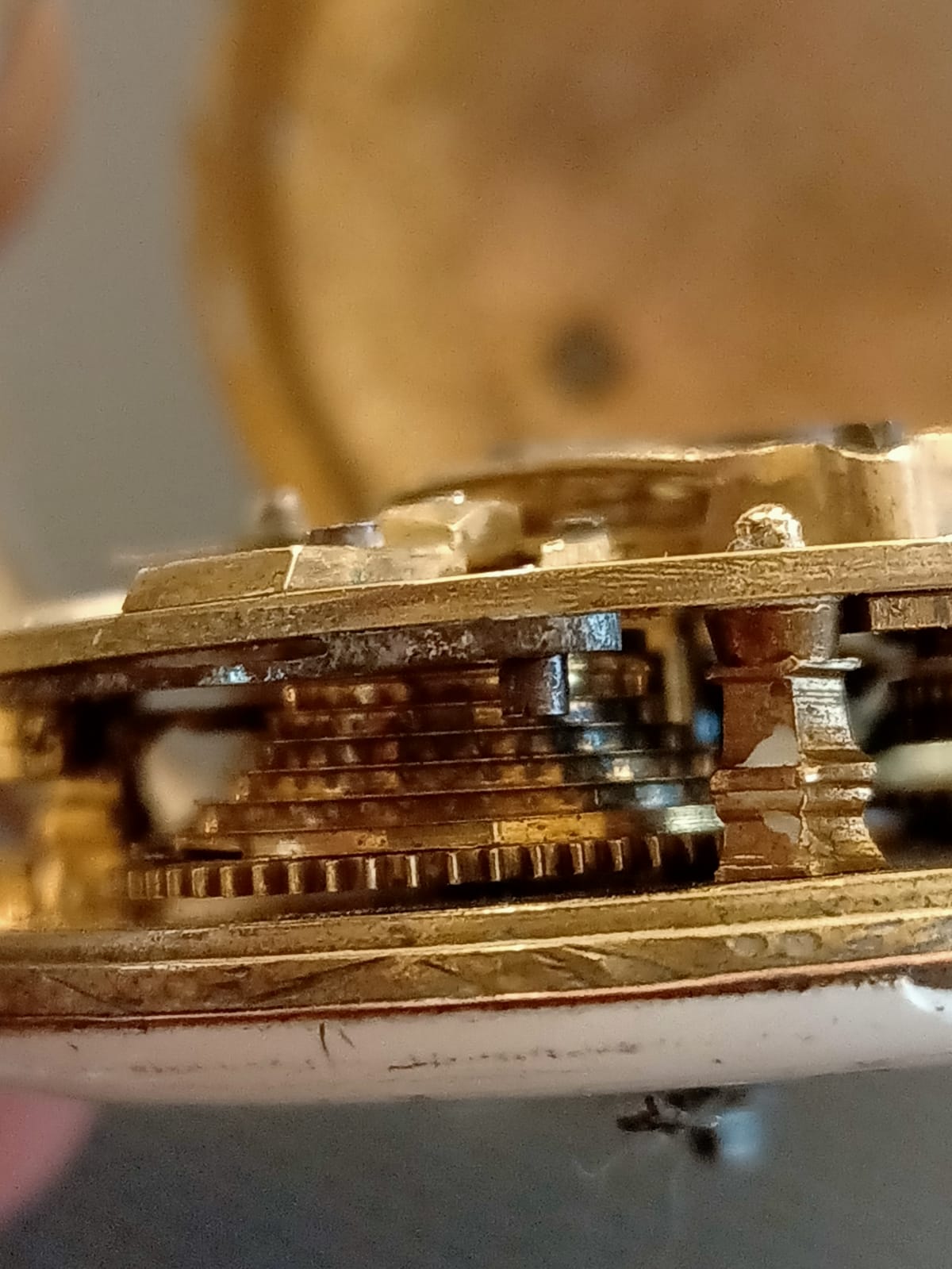 WhatsApp Image 2020-10-12 at 18.51.32(5).jpeg