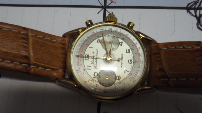 DSCF1596 (Copia).JPG