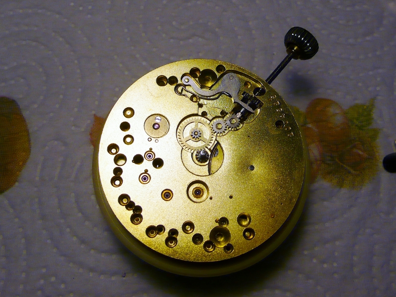 P1010716 (800x600).jpg