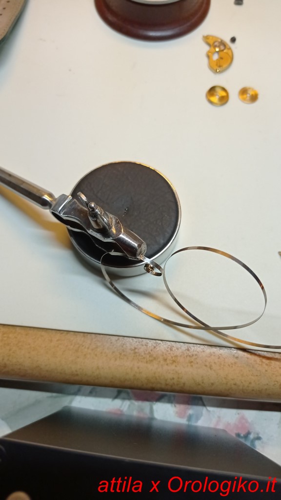 IMG-20210304-WA0040 (Copia).jpeg