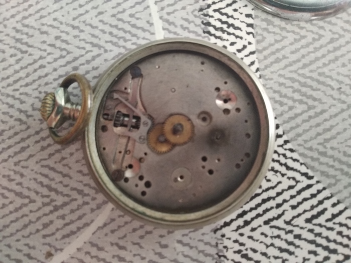 IMG_20220605_105645 (Copia).jpg