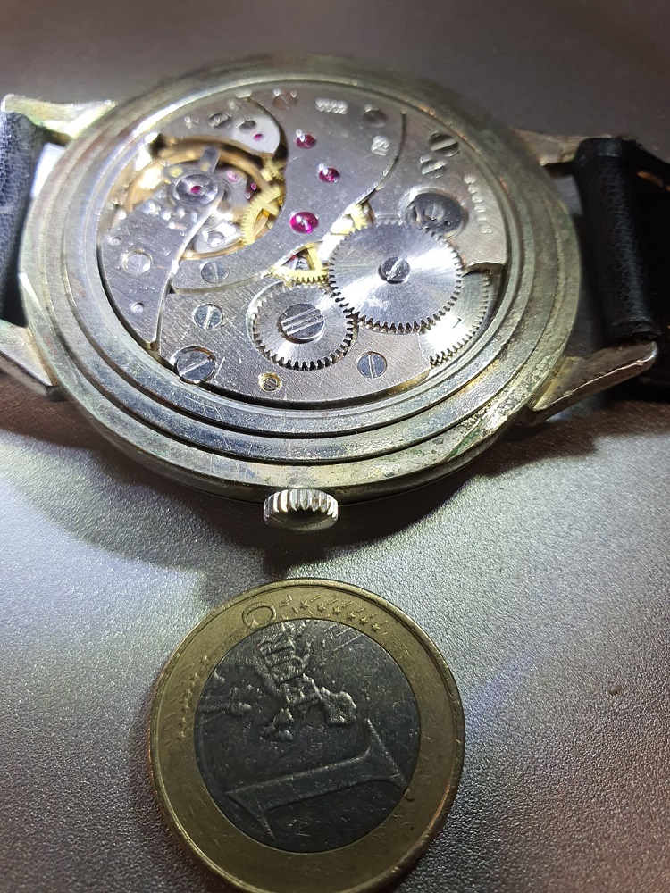 Immagine WhatsApp 2022-12-10 ore 17.18.22bis.jpg