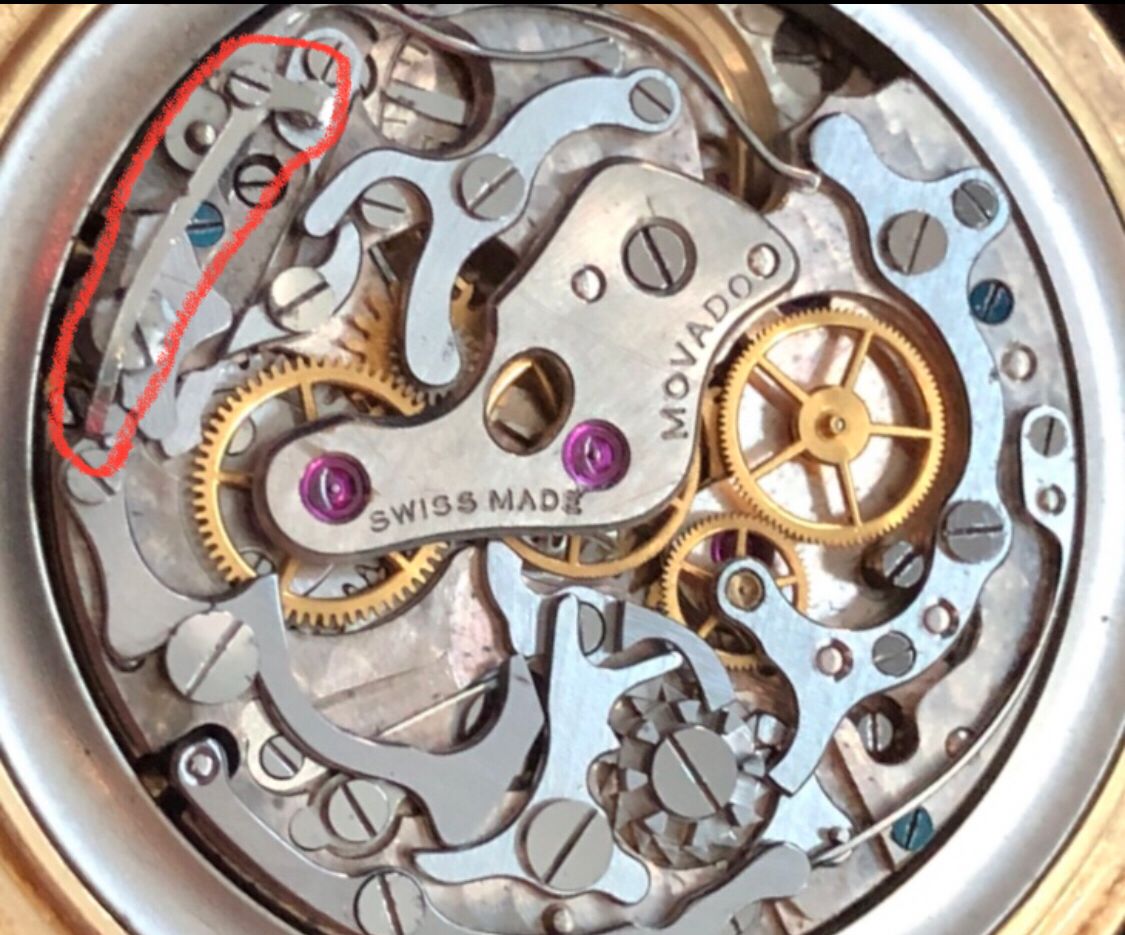 Immagine WhatsApp 2023-10-02 ore 10.08.11_deef7426.jpg