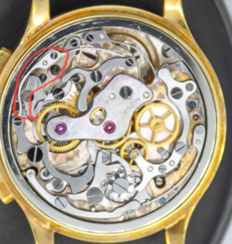 Immagine WhatsApp 2023-10-02 ore 10.07.55_0590875f.jpg