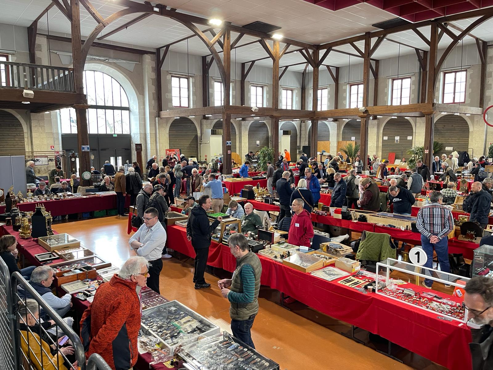 Immagine WhatsApp 2024-03-30 ore 17.29.51_6850518f.jpg