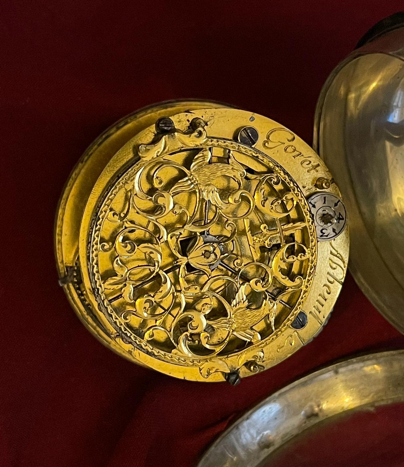 Immagine WhatsApp 2024-03-30 ore 18.16.07_5cc90c9c.jpg