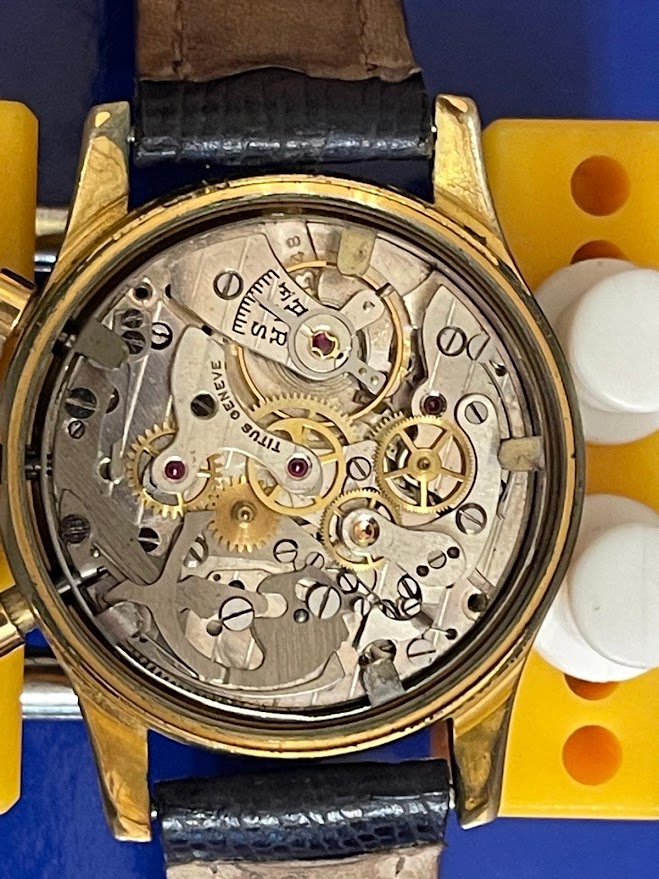 EBERJAX movimento.jpg