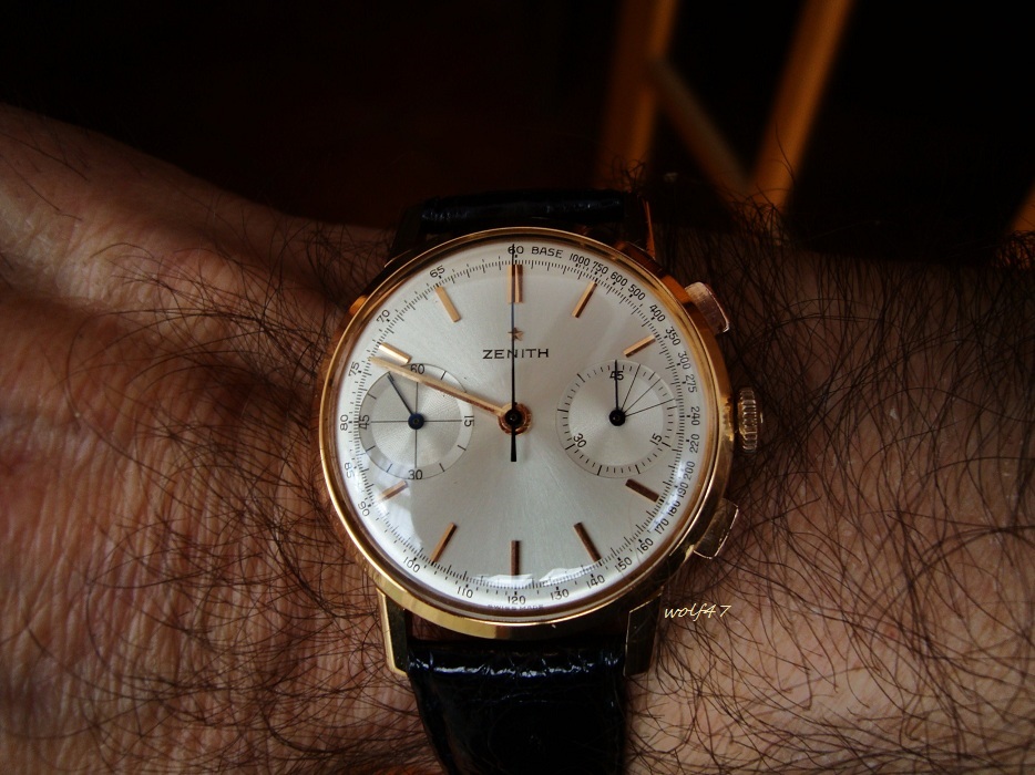 ZenithV24.JPG