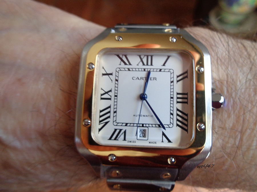 Cartier cl5.JPG
