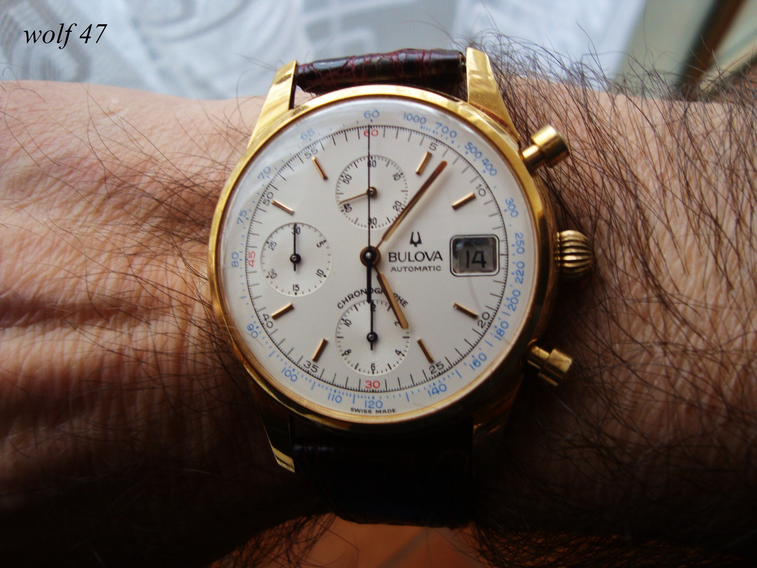 BULOVAcr8.jpeg.JPG