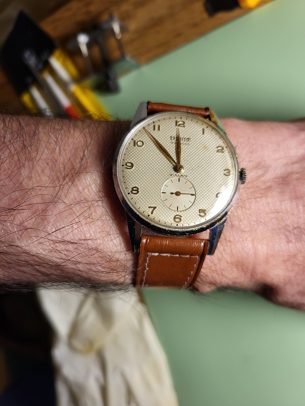 Teriam quadrante.jpg