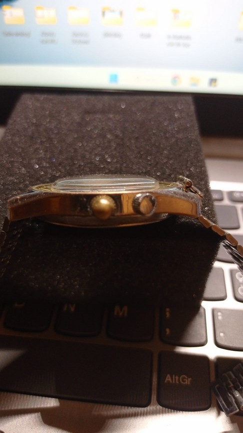 cerniera a riposo (Copia).jpg