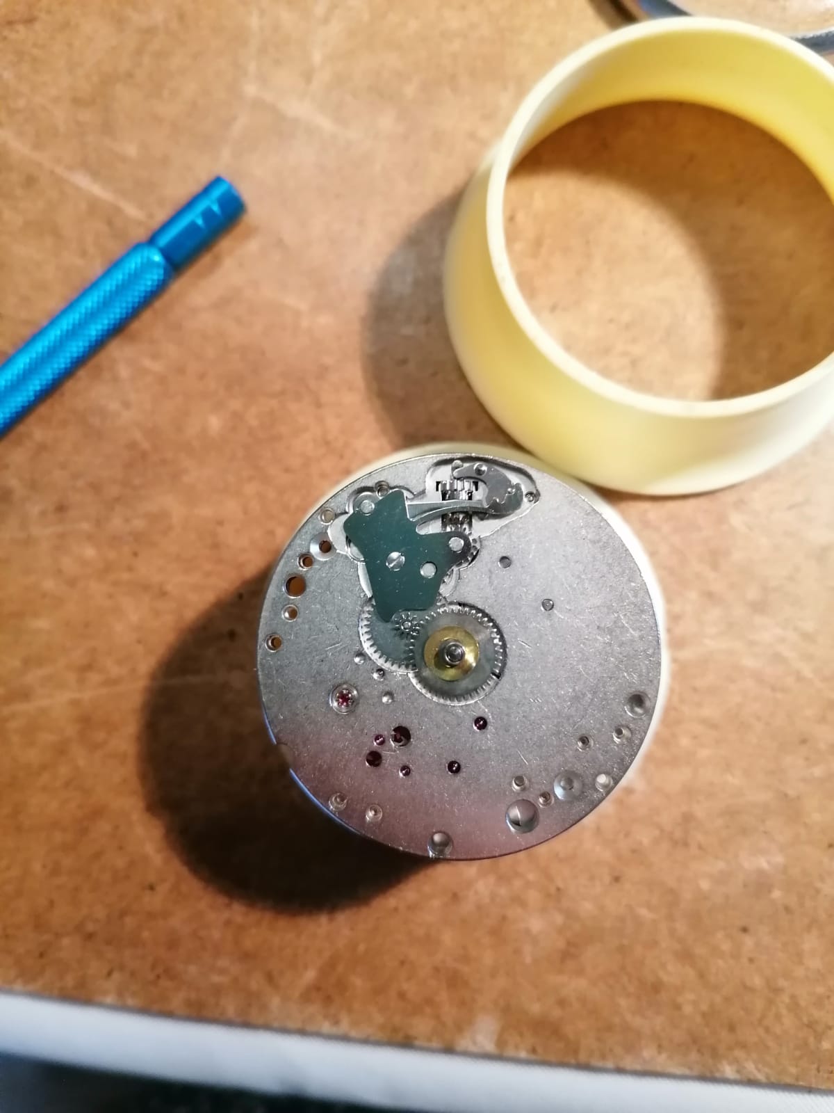 Immagine WhatsApp 2025-02-11 ore 16.51.46_05ba5945.jpg