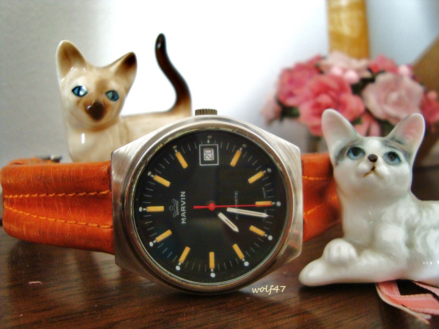 Marvin auto10.jpeg.JPG