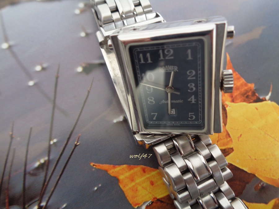 Roamer Gondolo11.JPG