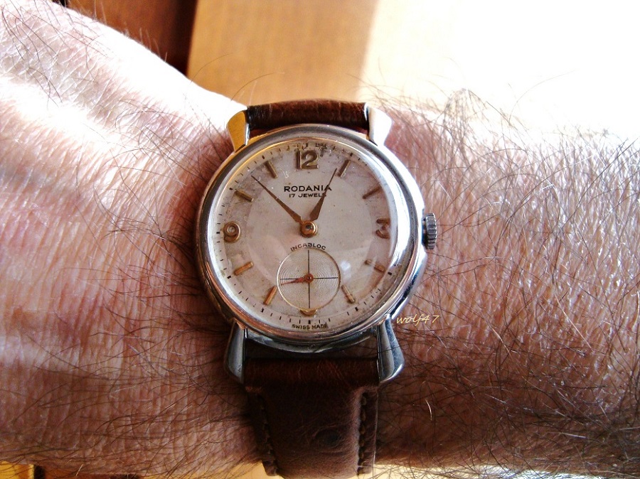 Rodania V19.jpeg.JPG