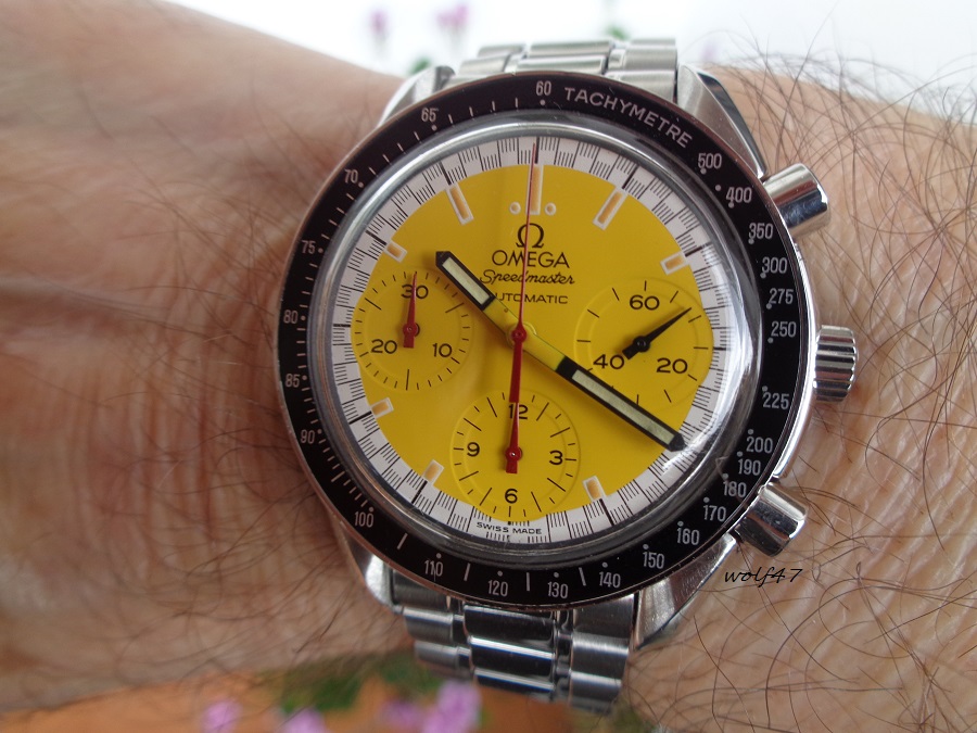 omega schumaker2.JPG