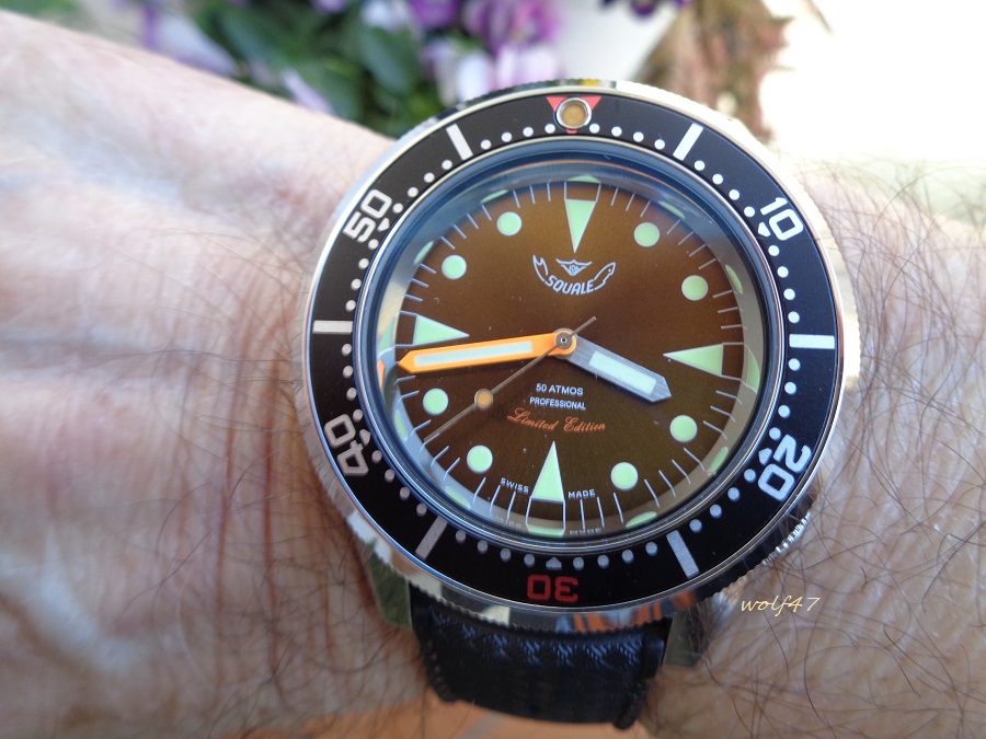 Squale ed lim3.JPG