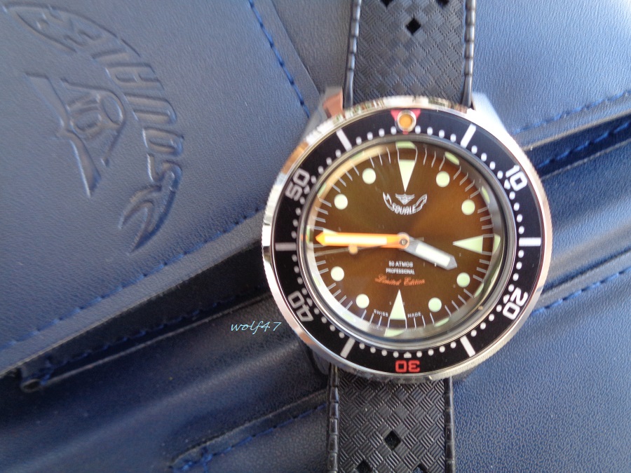 Squale ed lim 6.JPG