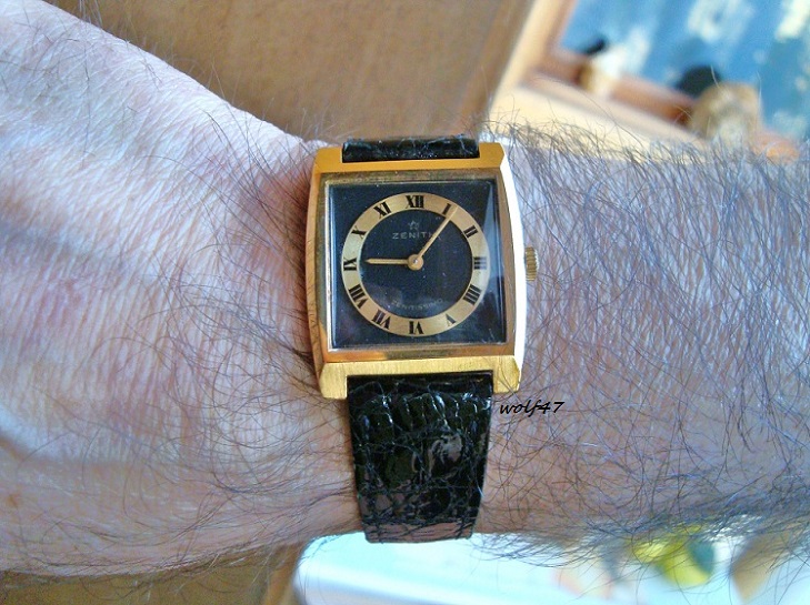 Zenith Z 13.jpeg.JPG