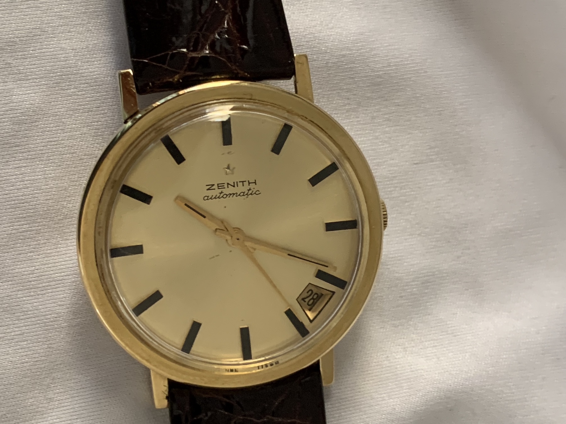 X-quad cusc 2 IMG_2355.jpg