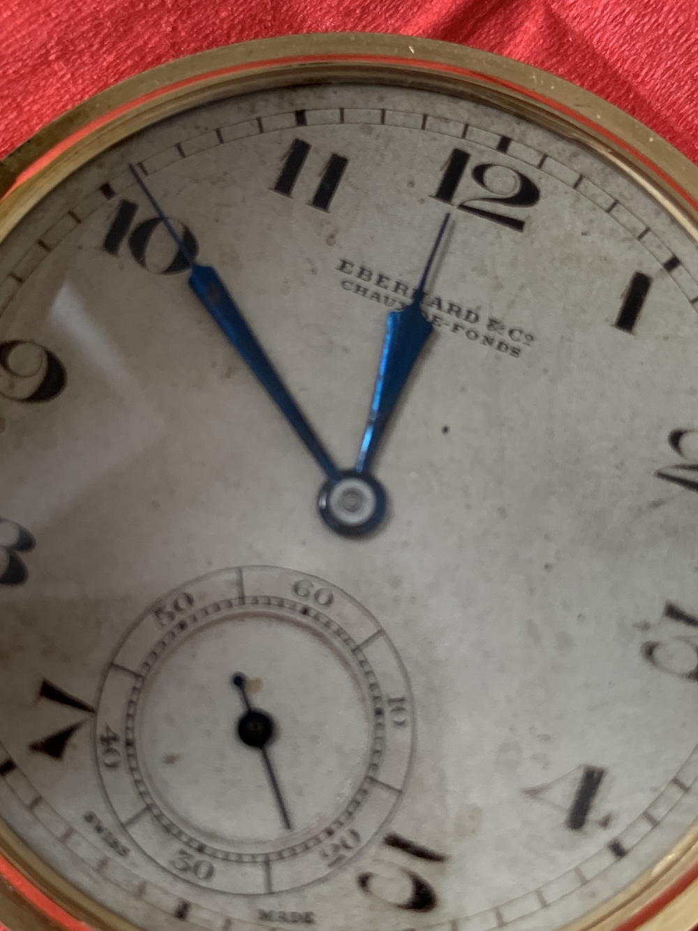 quad 2 IMG_2581 red.jpeg