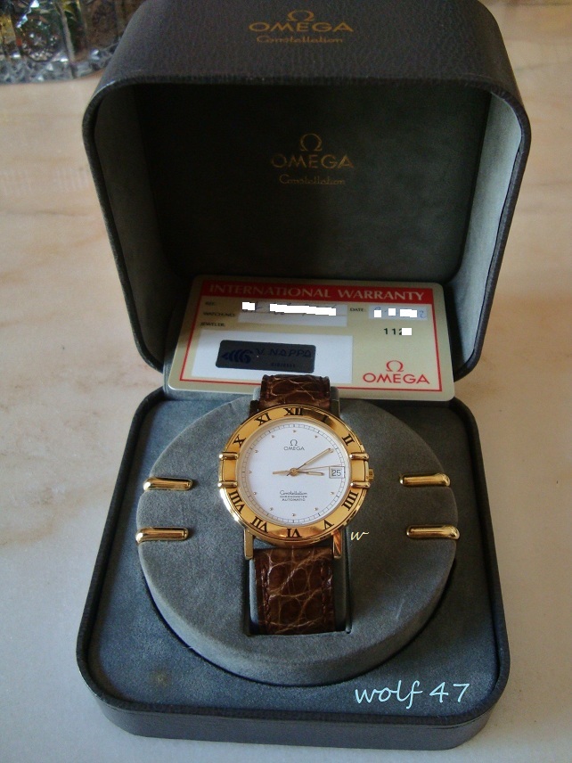 Omega Const1.jpeg.JPG