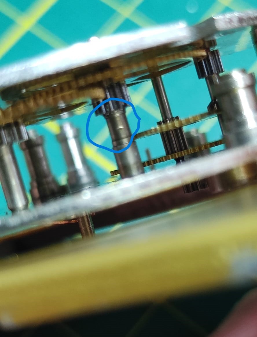 WhatsApp Image 2025-09-28 at 13.56.44.jpeg