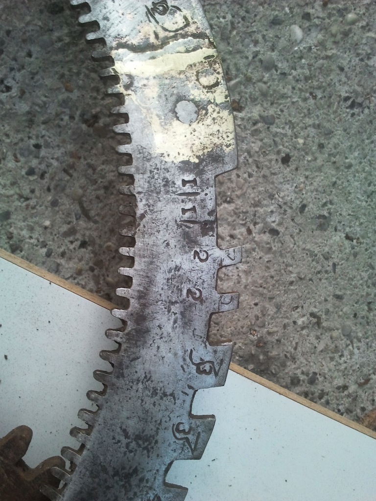 particolare spartiora.jpg