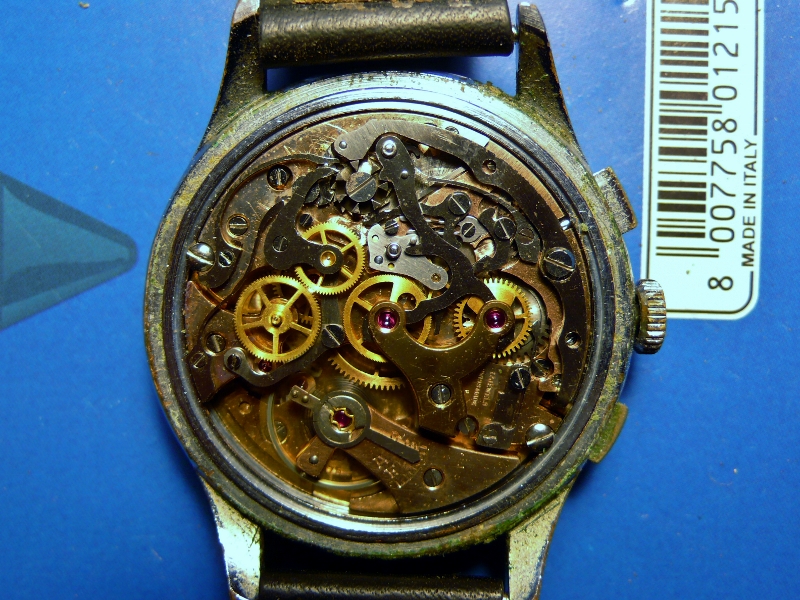 P1010925 (800x600).jpg