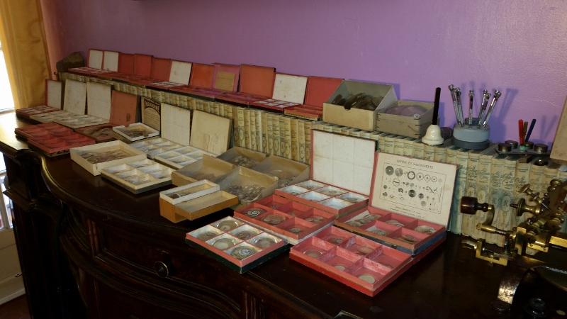 20150917_132610 (800x450).jpg