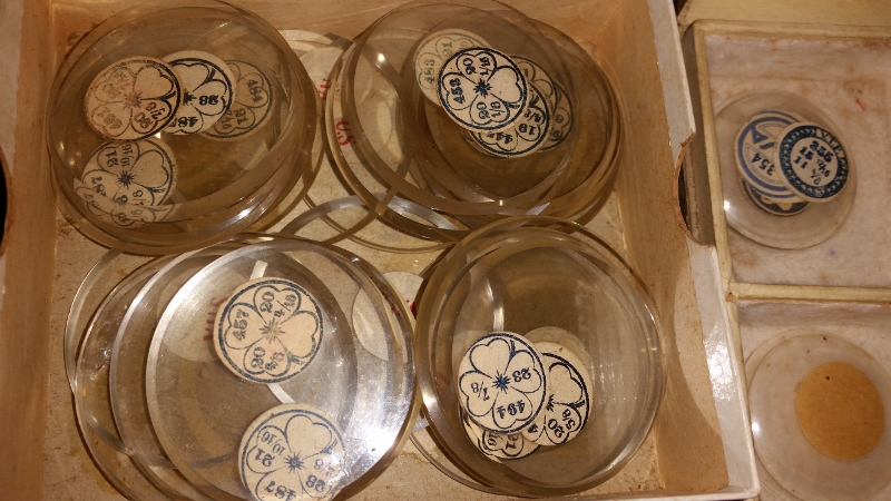 20150917_133024 (800x450).jpg