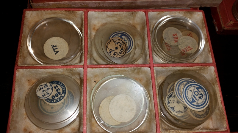 20150917_133000 (800x450).jpg