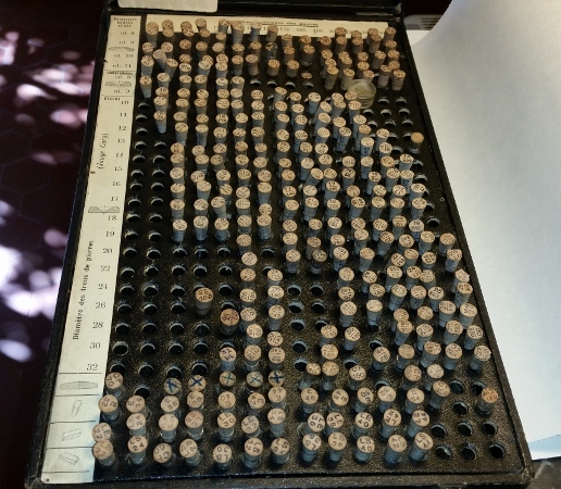 20150918_135052 (800x450).jpg