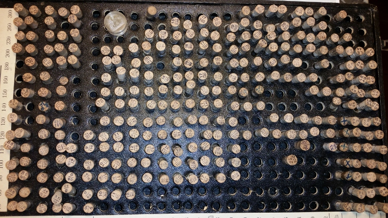 20150918_135123 (800x450).jpg