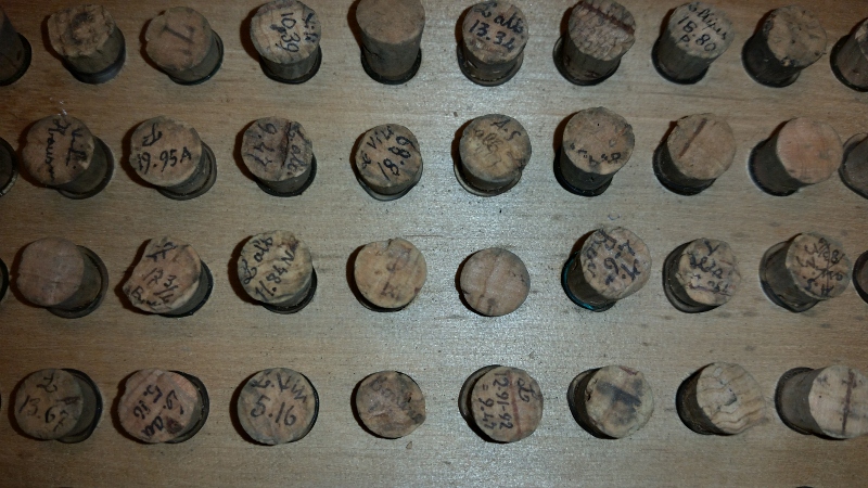 20150918_134102 (800x450).jpg