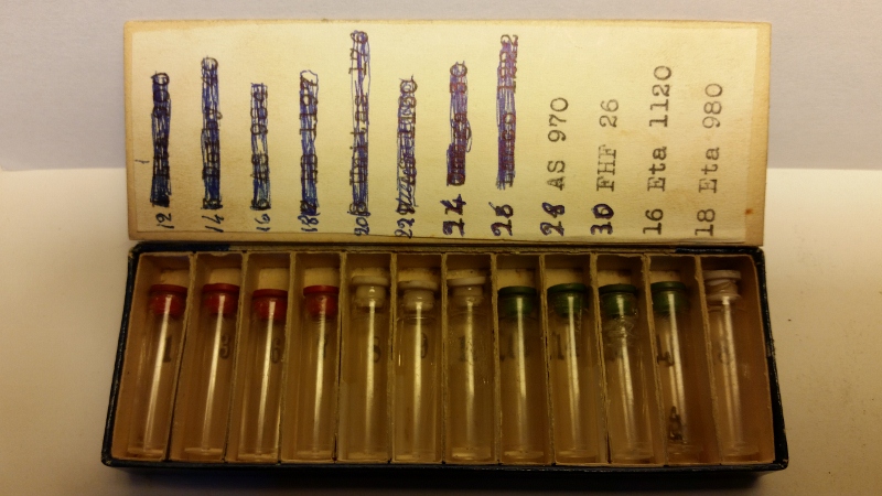 20150930_173137 (800x450).jpg