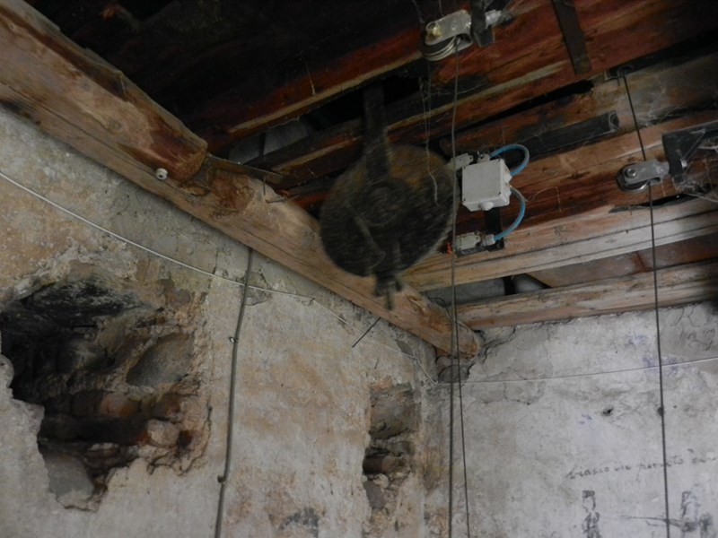 DSCN1034 [800x600].JPG