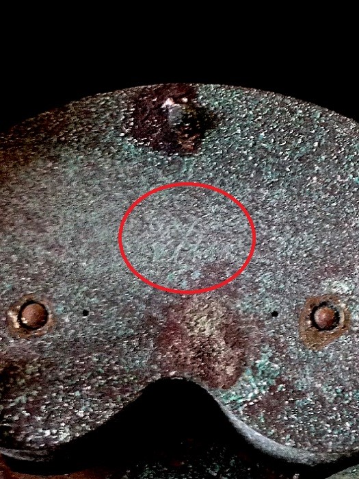 IMG_0561 - Copia - Copia.JPG