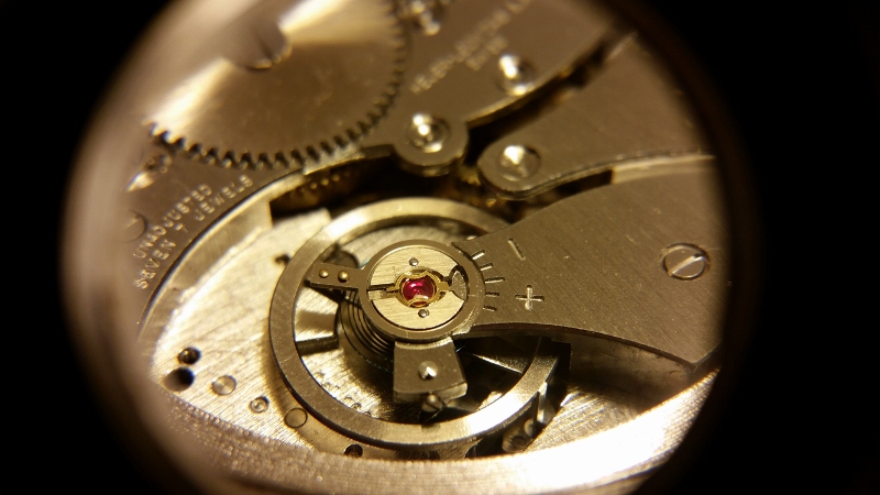 20151203_164600 (800x450).jpg