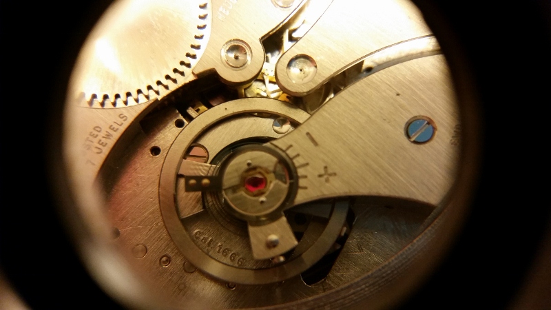 20151203_164628 (800x450).jpg