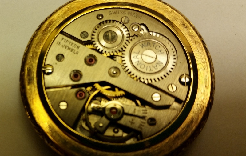 20150902_181821 (2) (800x507).jpg