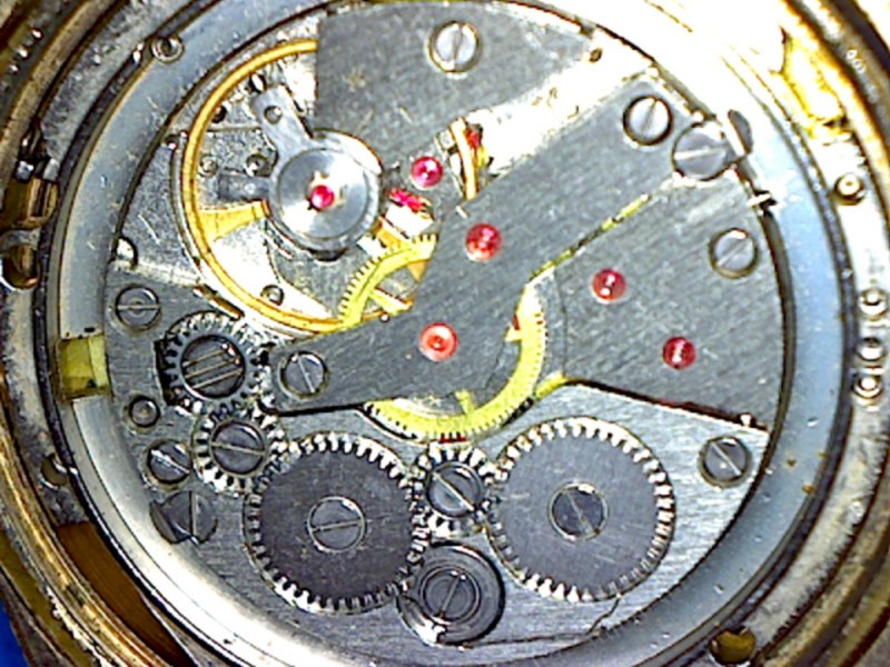 Craba_3 [800x600].jpg