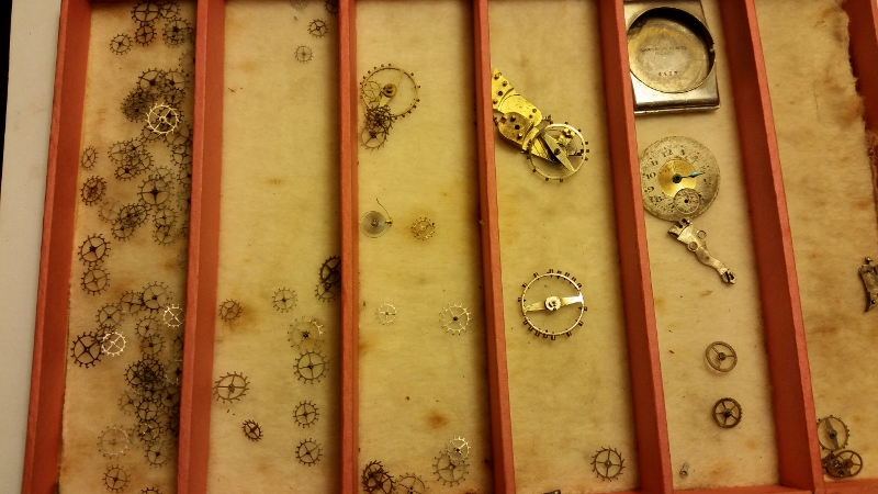 20151204_193828 (800x450).jpg