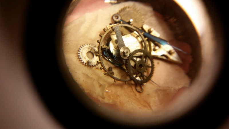 20151204_172044 (800x450).jpg