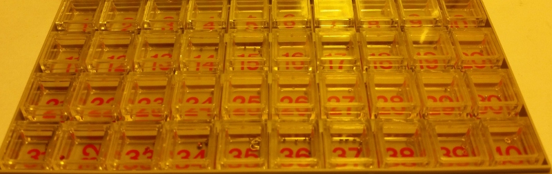 20151202_104501 (2) (800x253).jpg