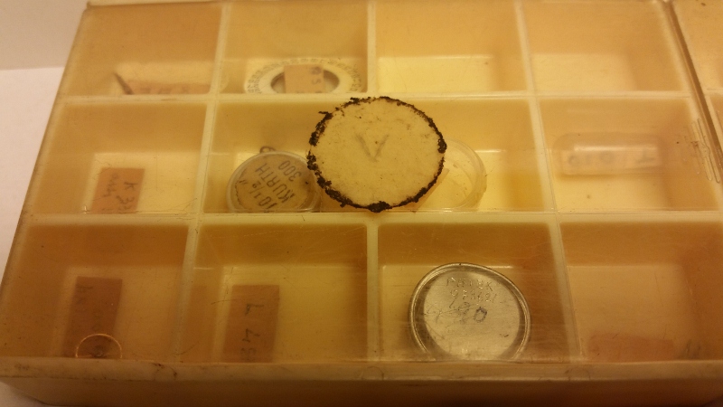 20151202_104615 (800x450).jpg